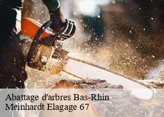 Abattage d'arbres 67 Bas-Rhin  Meinhardt Elagage 67 