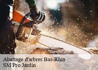 Abattage d'arbres 67 Bas-Rhin SM Pro Jardin