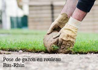 Pose de gazon en rouleau Bas-Rhin 