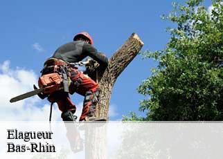 Elagueur Bas-Rhin