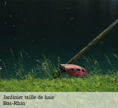 Jardinier taille de haie Bas-Rhin 
