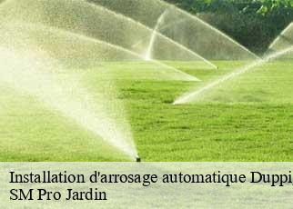 Installation d'arrosage automatique duppigheim-67120 SM Pro Jardin