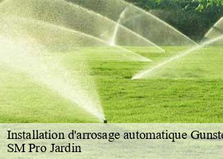 Installation d'arrosage automatique gunstett-67360 SM Pro Jardin