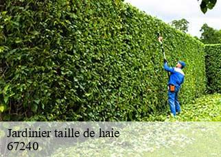 Jardinier taille de haie 67240