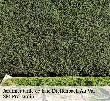 Jardinier taille de haie 67220