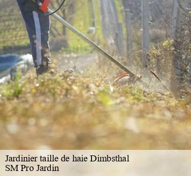 Jardinier taille de haie  67440