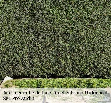 Jardinier taille de haie 67160