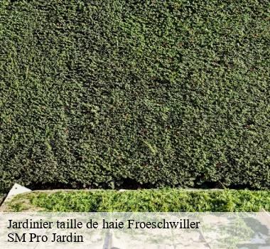 Jardinier taille de haie 67360