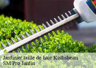 Jardinier taille de haie kolbsheim-67120 SM Pro Jardin