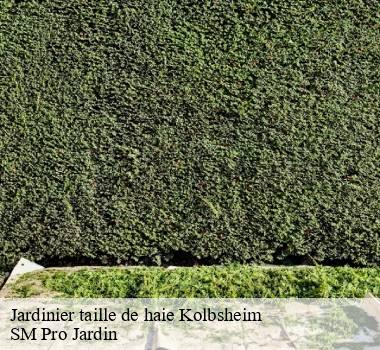 Jardinier taille de haie 67120