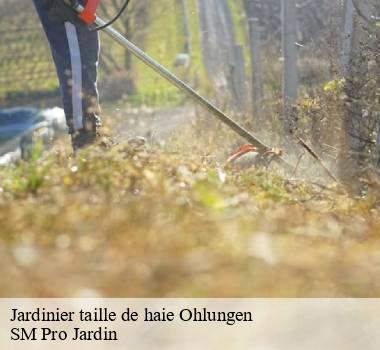 Jardinier taille de haie  67590