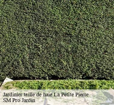 Jardinier taille de haie 67290