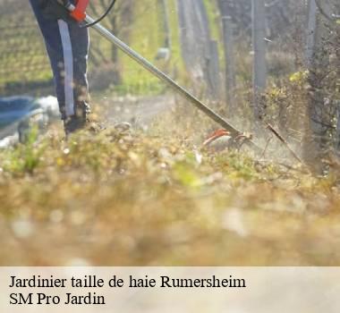 Jardinier taille de haie 67370