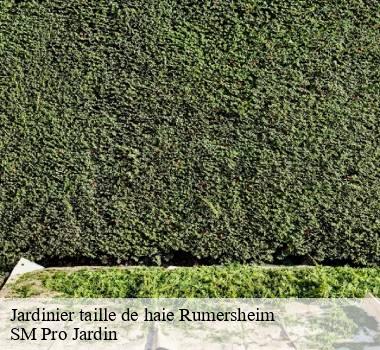 Jardinier taille de haie 67370