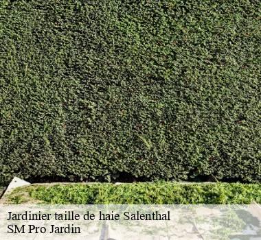 Jardinier taille de haie 67440