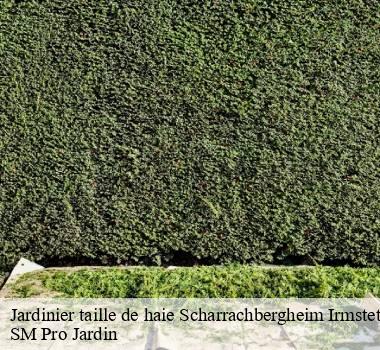 Jardinier taille de haie 67310