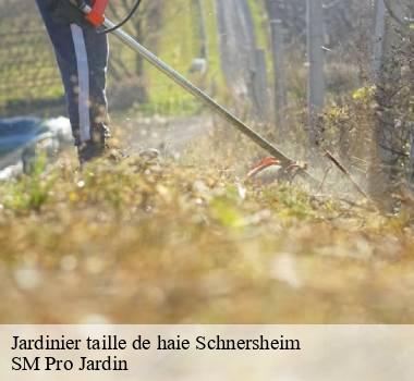 Jardinier taille de haie 67370