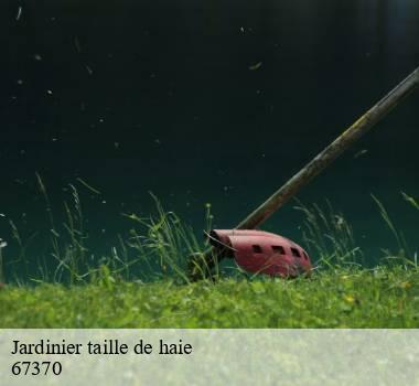 Jardinier taille de haie 67370