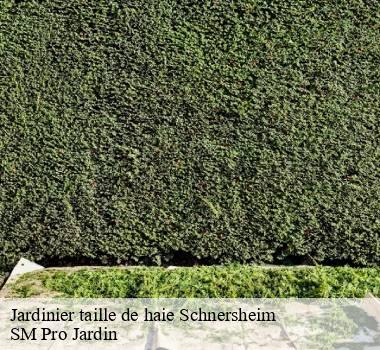 Jardinier taille de haie 67370