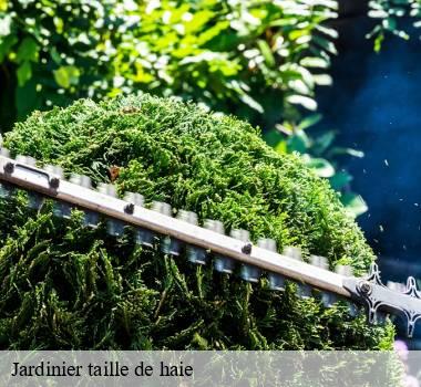 Jardinier taille de haie