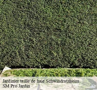 Jardinier taille de haie 67270