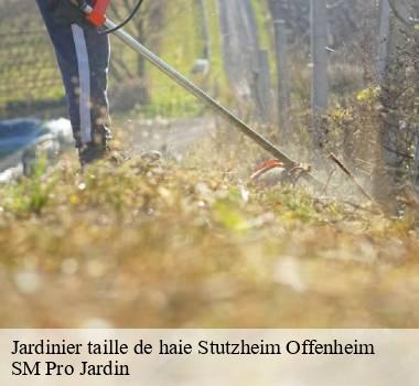 Jardinier taille de haie 67370
