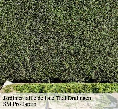 Jardinier taille de haie 67320