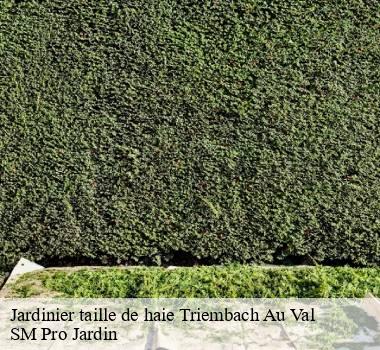Jardinier taille de haie 67220