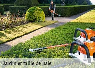 Jardinier taille de haie