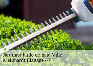 Jardinier taille de haie  ville-67220 Meinhardt Elagage 67 