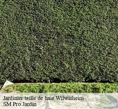 Jardinier taille de haie  67270