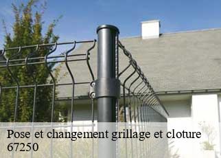 Pose et changement grillage et cloture 67250