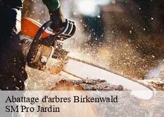 Abattage d'arbres  birkenwald-67440 SM Pro Jardin