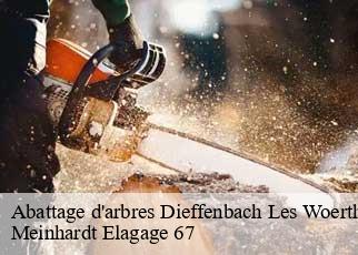 Abattage d'arbres  dieffenbach-les-woerth-67360 Meinhardt Elagage 67 