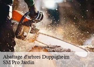 Abattage d'arbres  duppigheim-67120 SM Pro Jardin