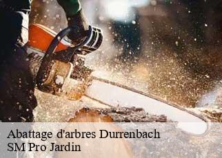 Abattage d'arbres  durrenbach-67360 SM Pro Jardin