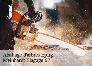 Abattage d'arbres  epfig-67680 Meinhardt Elagage 67 