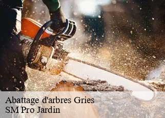 Abattage d'arbres  gries-67240 SM Pro Jardin