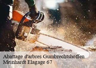 Abattage d'arbres  gumbrechtshoffen-67110 Meinhardt Elagage 67 