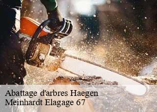 Abattage d'arbres  haegen-67700 Meinhardt Elagage 67 