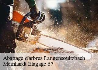 Abattage d'arbres  langensoultzbach-67360 Meinhardt Elagage 67 