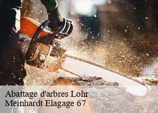 Abattage d'arbres  lohr-67290 Meinhardt Elagage 67 