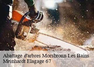 Abattage d'arbres  morsbronn-les-bains-67360 Meinhardt Elagage 67 