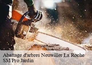 Abattage d'arbres neuwiller-la-roche-67130 SM Pro Jardin