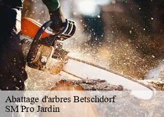 Abattage d'arbres  betschdorf-67660 SM Pro Jardin