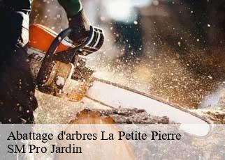 Abattage d'arbres la-petite-pierre-67290 SM Pro Jardin