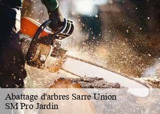 Abattage d'arbres sarre-union-67260 SM Pro Jardin