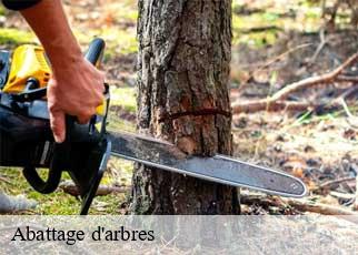 Abattage d'arbres