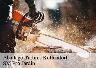 Abattage d'arbres keffendorf-67170 SM Pro Jardin