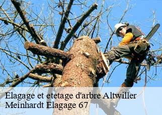 Elagage et etetage d'arbre  altwiller-67260 Meinhardt Elagage 67 